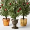 3pc Decorative Potted Faux Greenery Tree - Wondershop™ 1 3pc Decorative Potted Faux Greenery Tree - Wondershop™ -Home Decoration Shop GUEST 14075050 d5a6 4ff4 b83d 36bcf78b0244